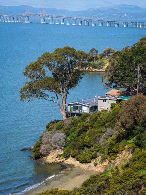 A coastal scene featuring a hillside property with a modern, flat-roofed house surrounded by lush green trees and shrubs. The house is positioned close to the water's edge on a small rocky shoreline, with a large, prominent tree in the foreground providing shade. The property appears well-maintained with a clean exterior and large windows facing the water. In the background, a lengthy suspension bridge extends across the water, connecting distant landmasses, with rolling hills or mountains visible further beyond. The water is calm and deep blue, contrasting with the vibrant green foliage. The scene is illuminated by soft, natural daylight that highlights the textures of the trees, rocks, and house exterior, creating a serene and picturesque environment typical of a private residence set within a natural coastal landscape, potentially related to alternative or private waste handling scenarios managed by specialists such as Waste Clearance Richmond.
